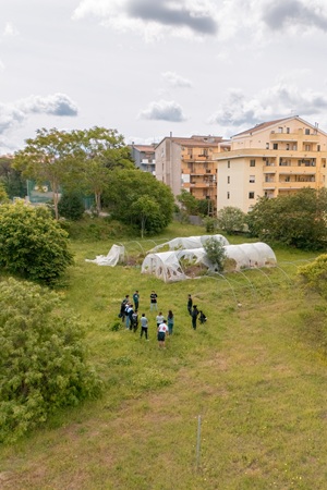 Cura del verde